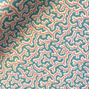 Dulcie - Ravenna (Sample)