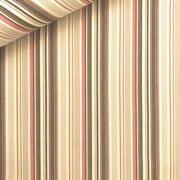 Pyjama Stripe - Persimmon (Sample)