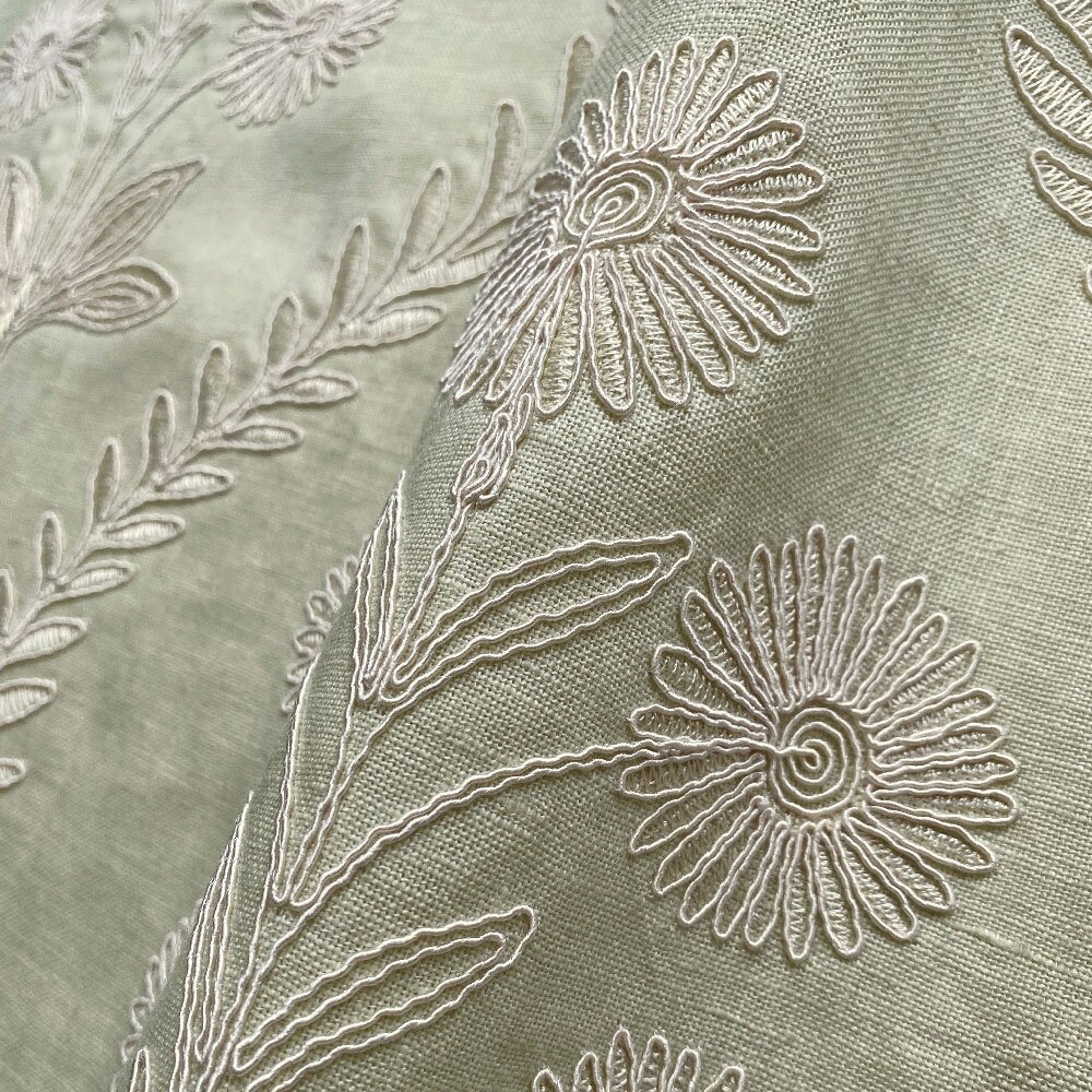 Persian Daisy - Tisane