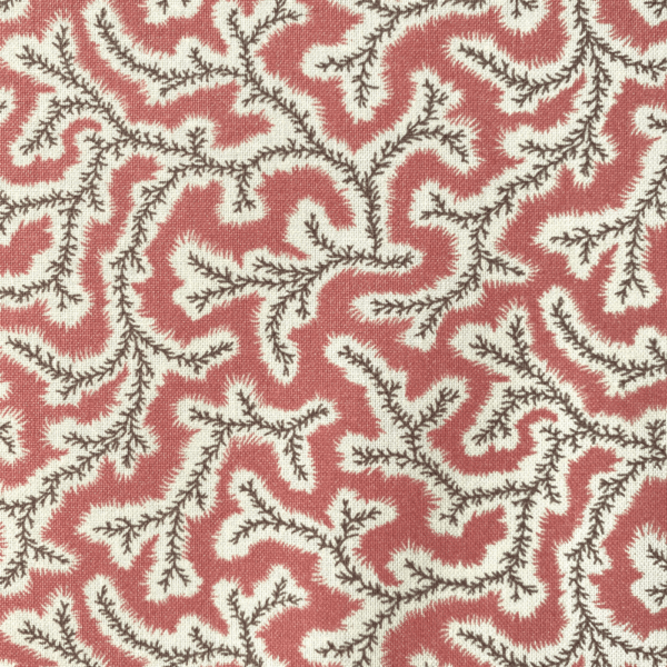 Dulcie Coral