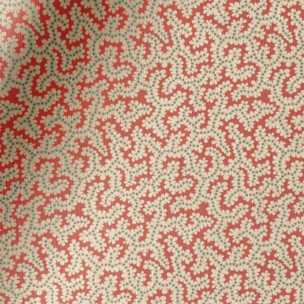 Elney - Coral