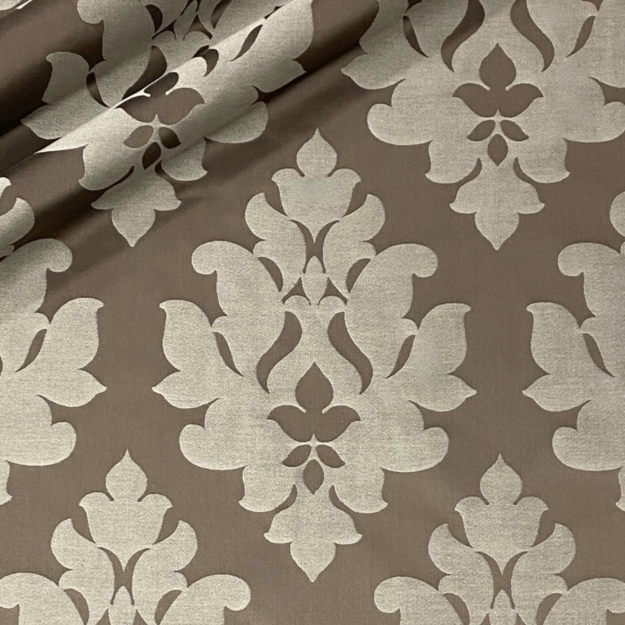 Enchanted Damask - Chocolate (Sample)