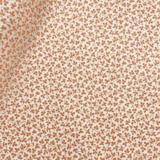 Beyond Complements - Miss Polly - Carrot