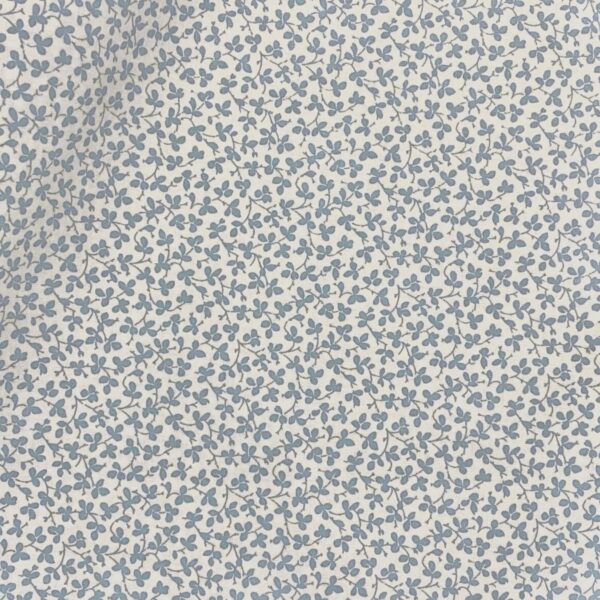 Miss Polly - Forget-me-not