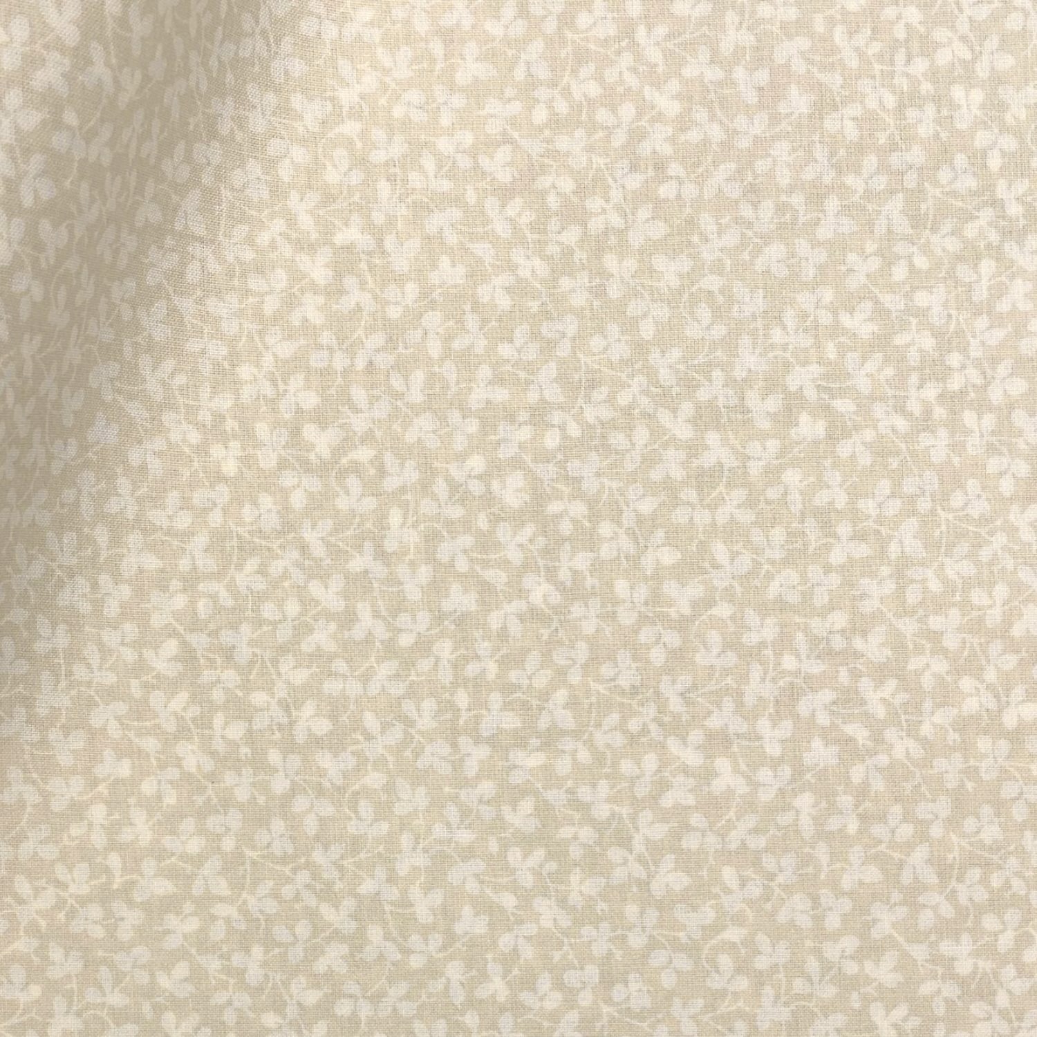 Miss Polly - Limestone