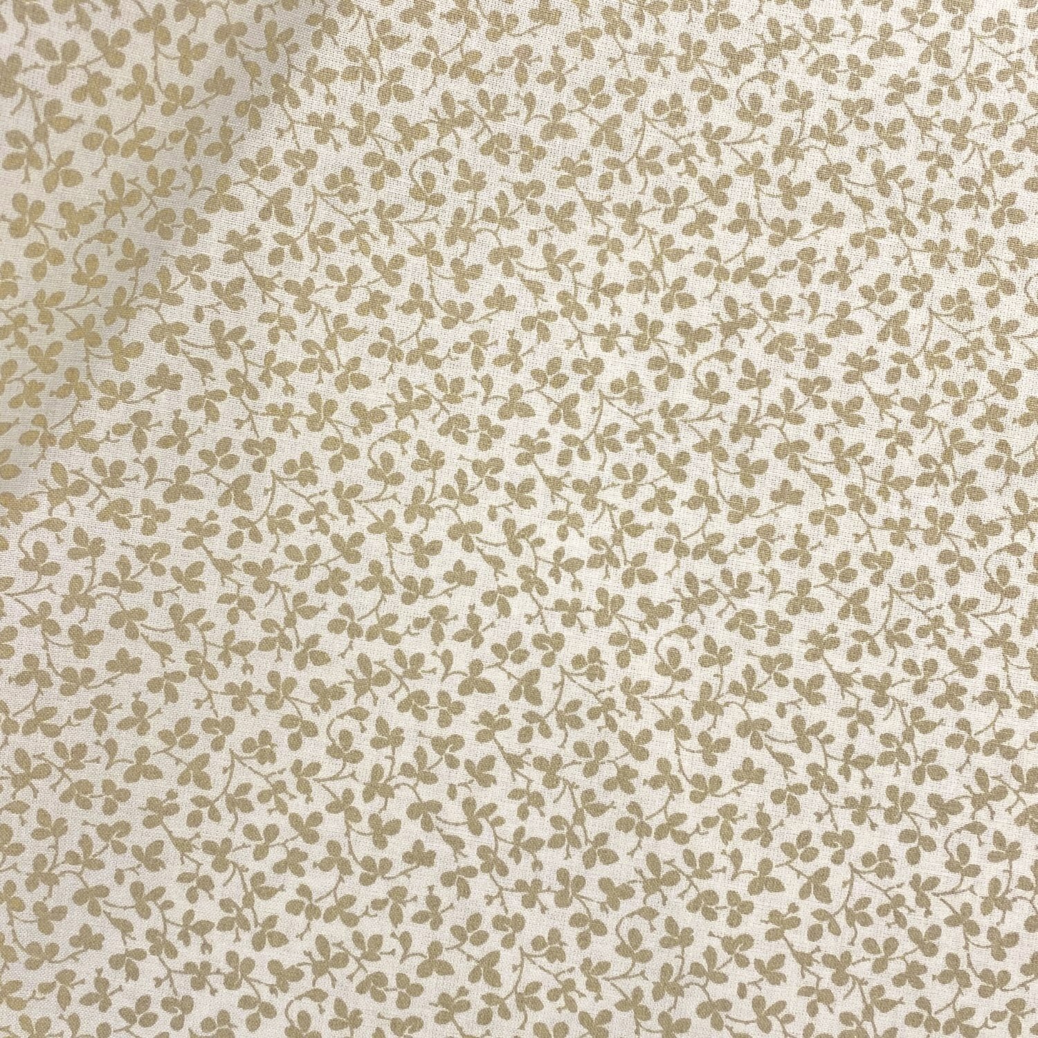 Miss Polly - Portland