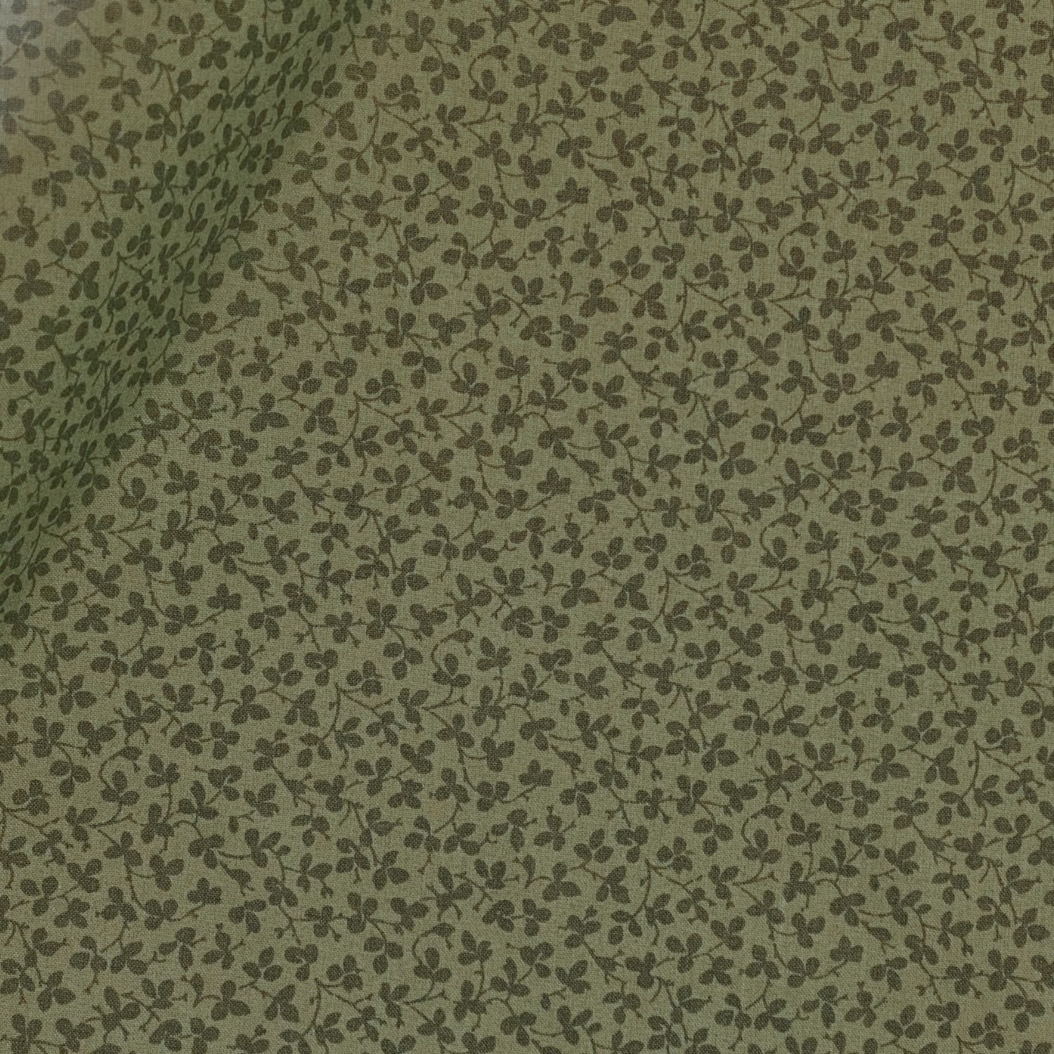 Miss Polly - Sherwood