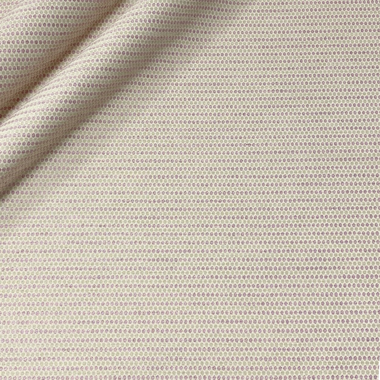 OUTLET - Peas - French Lilac