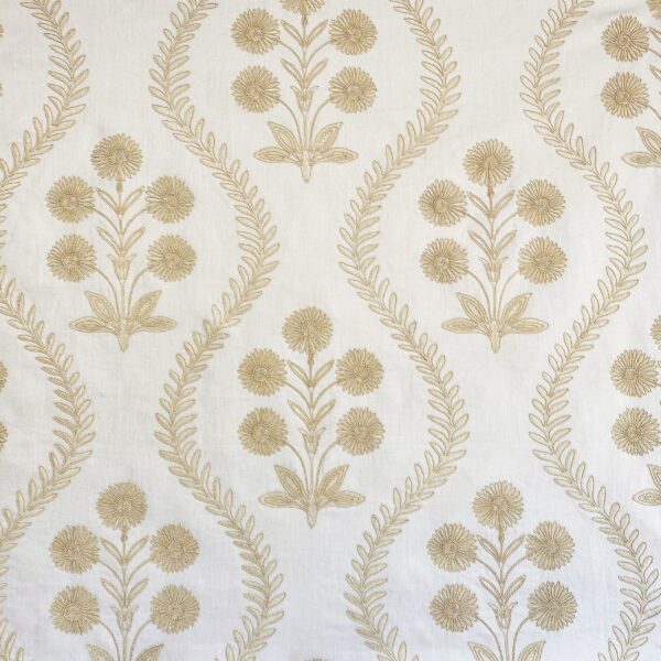 Persian_diasy_flat_closeup1