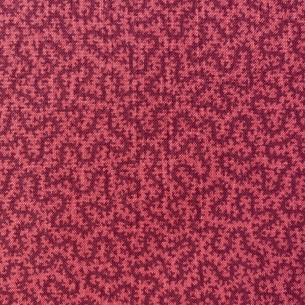 Petra - Raspberry close