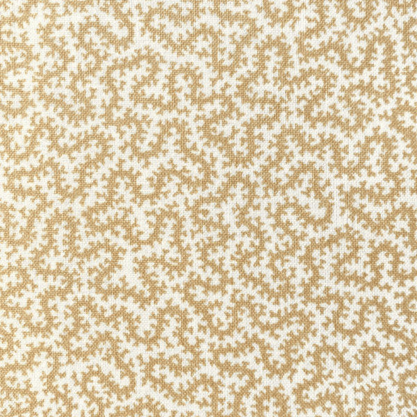 Petra - popcorn close