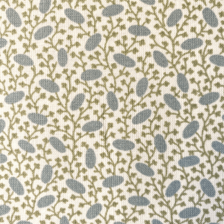 Pinto - Beetle close