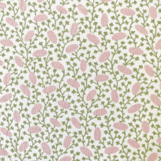 Pinto - Blossom close