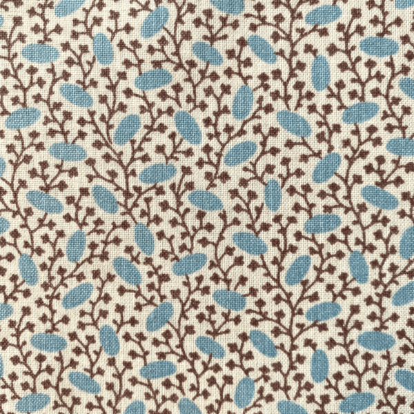 Pinto - Blue Bronze close