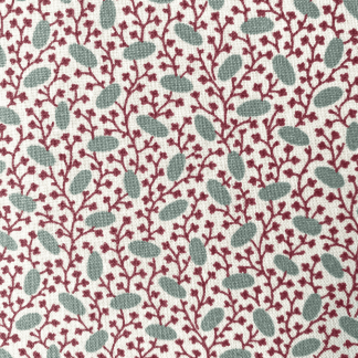 Pinto - Rose mallow close