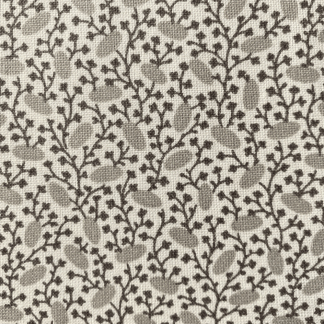 Pinto - woodsmoke close