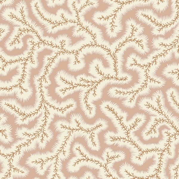 Big Dulcie Wallpaper - Shrimp