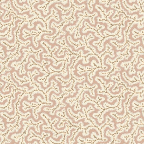 Little Dulcie Wallpaper - Shrimp