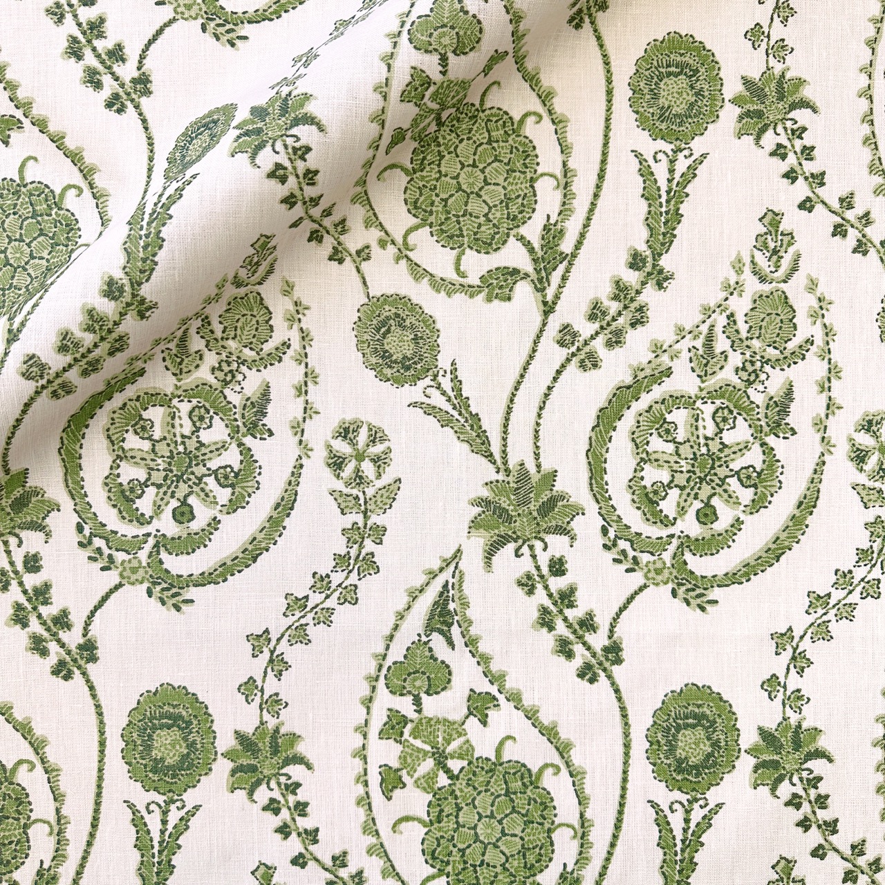 Delfyn Paisley - Parsley
