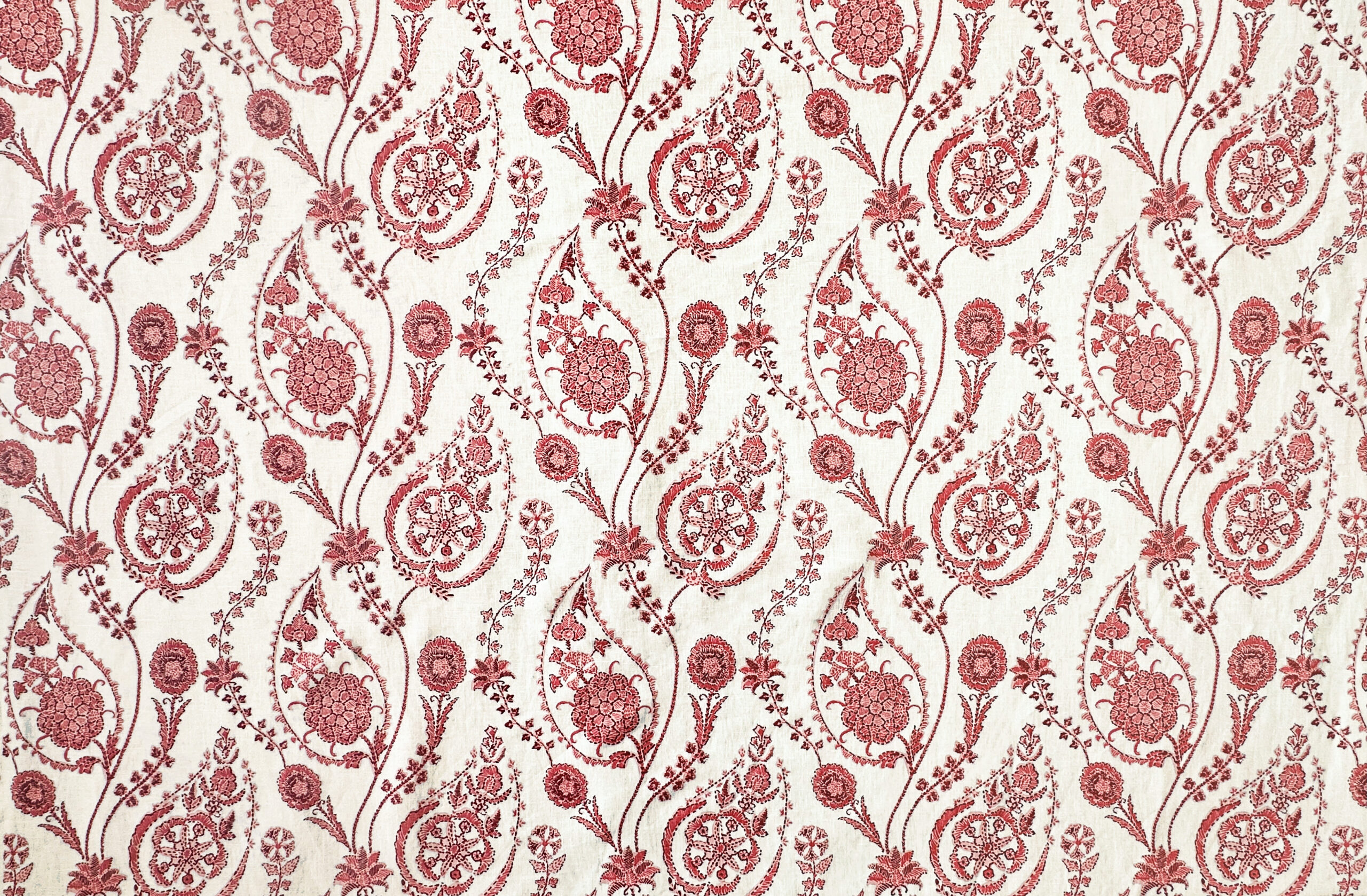 delfyn-paisley-sweet-rocket-wide