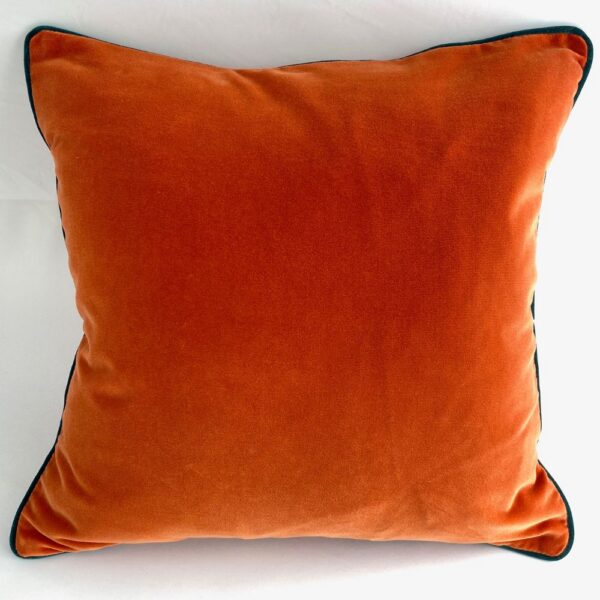 palis velvet clementine cushion